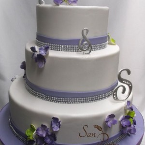 Violet et Lime gâteau de mariage /Purple and Lime Wedding cake