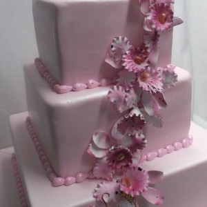 trois étages Quinceanera / three layer Quinceanera