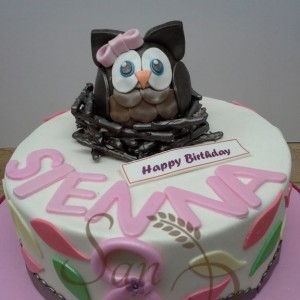 One TIer Owl Cake