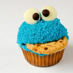 COOKIE MONSTER
