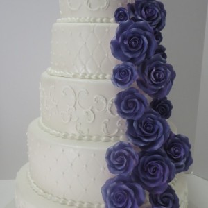 Fleurs Mauve / Pruple Flowers